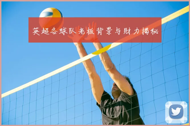 英超各球队老板背景与财力揭秘