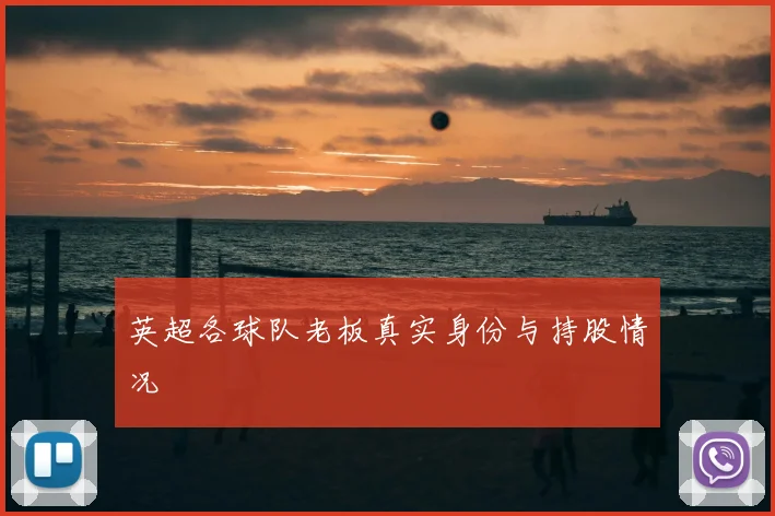 英超各球队老板真实身份与持股情况