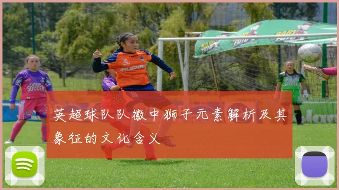 英超球队队徽中狮子元素解析及其象征的文化含义