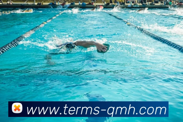 球盟会平台生态图